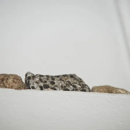 Benedetta فلورنس