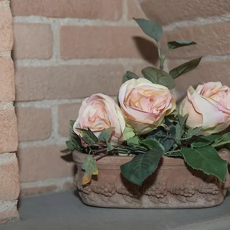 Benedetta بيت ضيافة